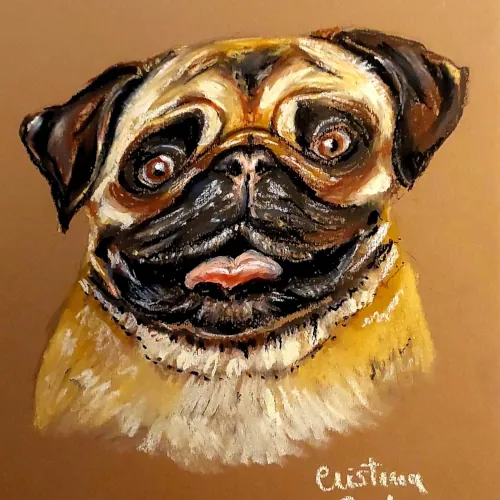 Preview of Pug