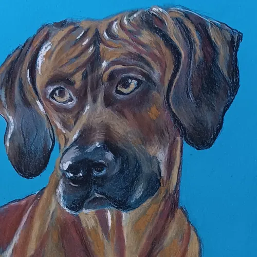 Preview of Cão Azul