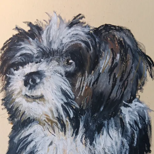 Preview of Cão Preto e Branco