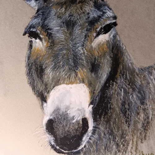 Preview of Burro