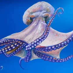 Preview of Polvo-comum