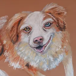 Preview of Lupita, o dachshund