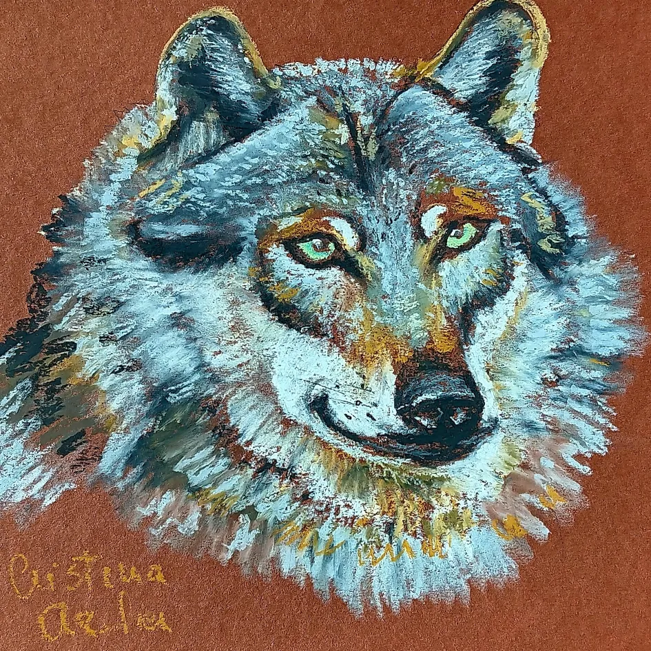 Preview of 061-lobo