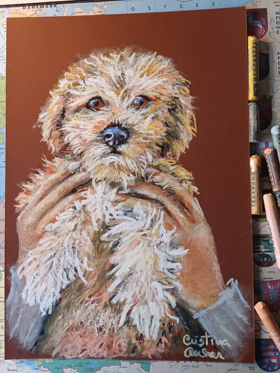 Bild des Kunststückes 'Cachorro'
